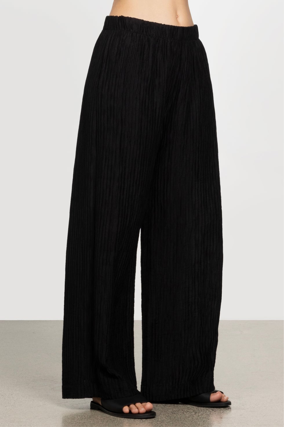 Ami Pleated Wide Leg Pant in Black