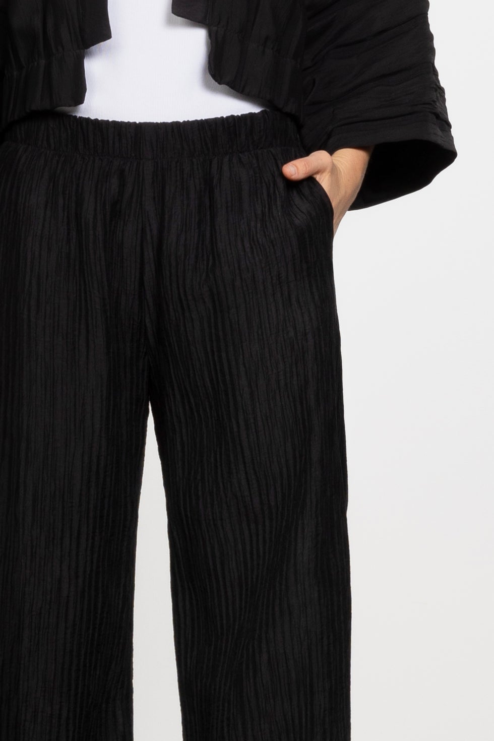 Ami Pleated Wide Leg Pant in Black