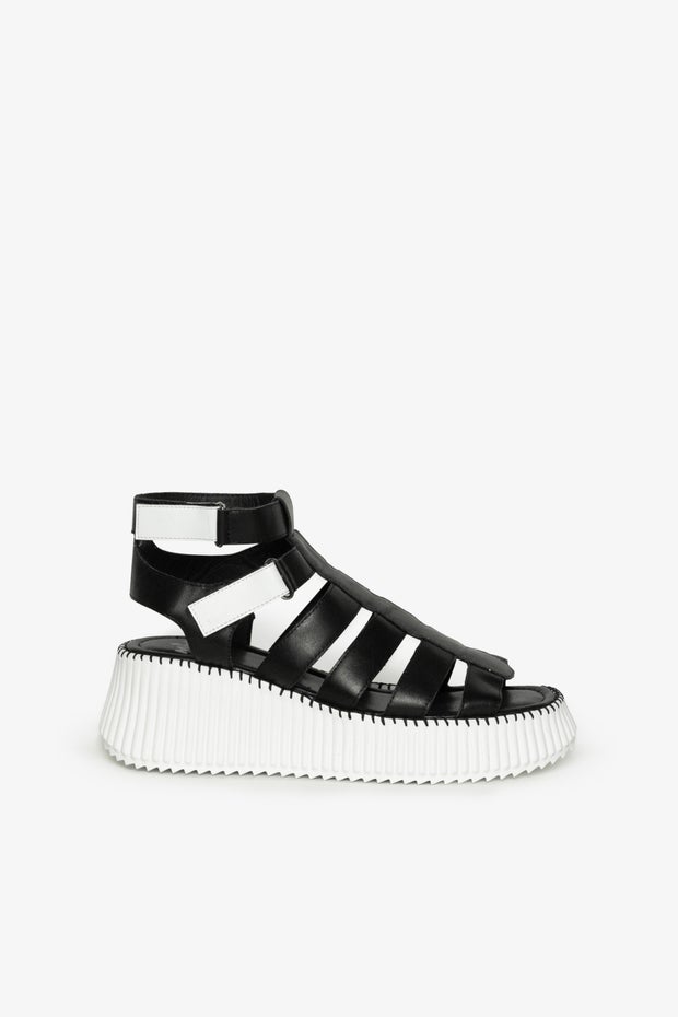 Blaze Gladiator Sandal in Black