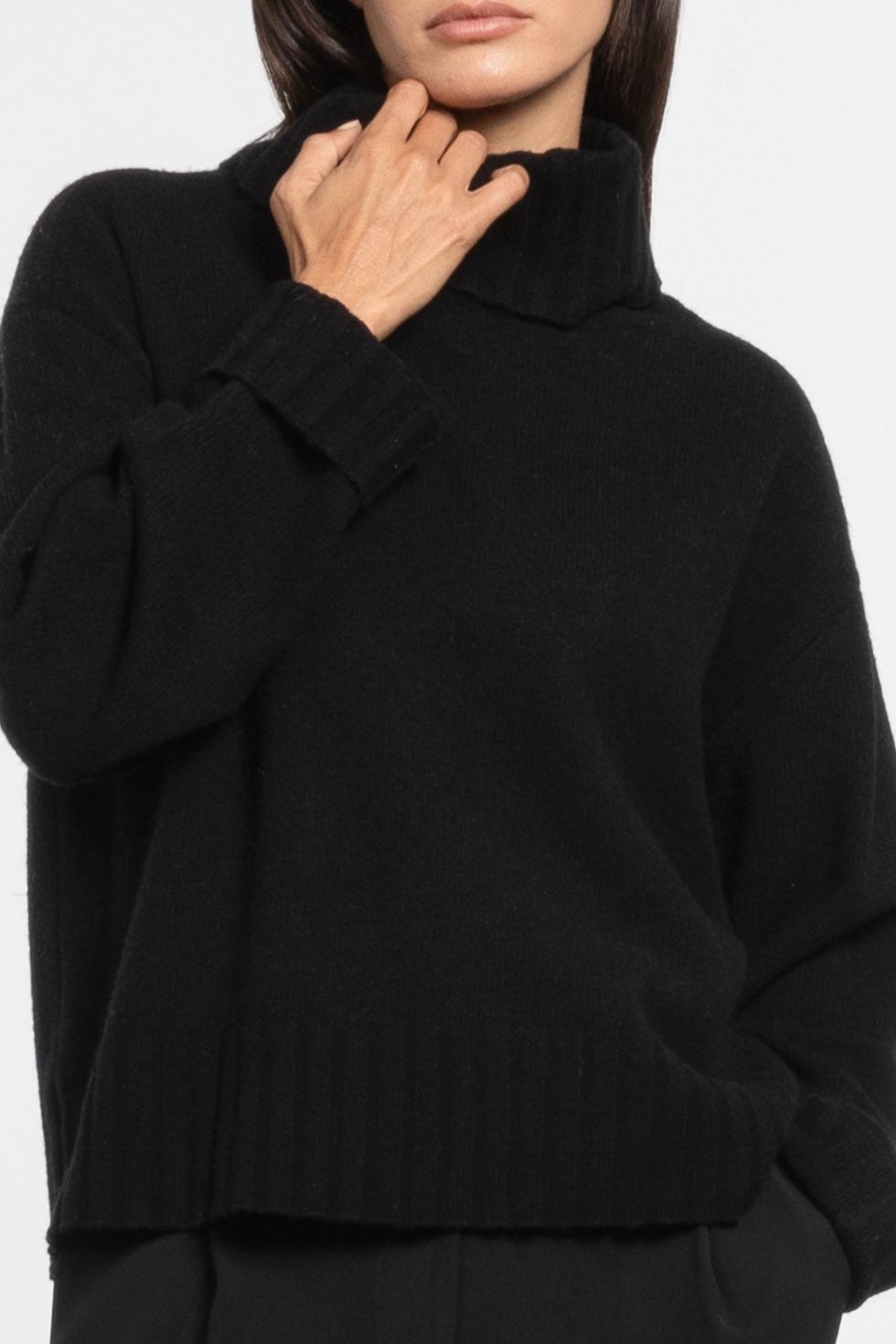 Leanne Knit Turtle-neck Jumper in Black