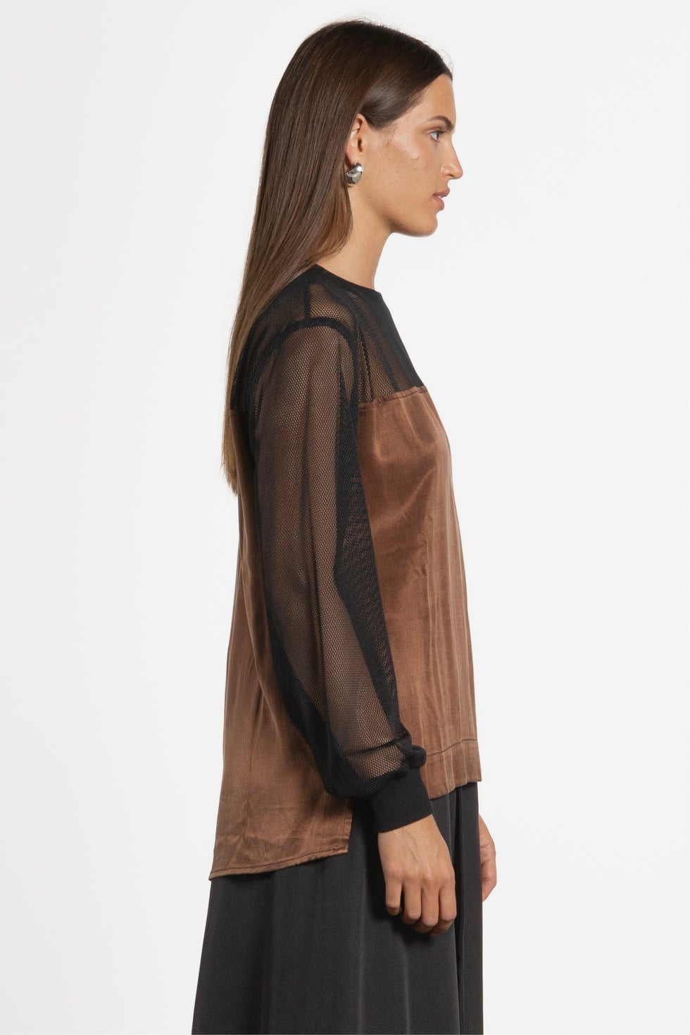 Luke Long Sleeve Mesh Top in Metallic
